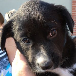 Meet your Posher, Carly